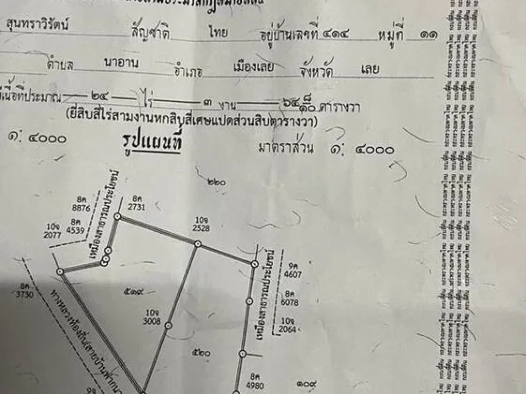 ขายที่ดิน 24 ไร่ ตำบลนาอาน อำเภอเมืองเลย จังหวัดเลย