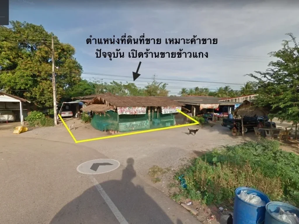 ขายที่ดินเปล่า แถมบ้านเก่า ริมถนนเพชรเกษม ปราณบุรี ตรงข้ามแม็คโครปราณบุรี