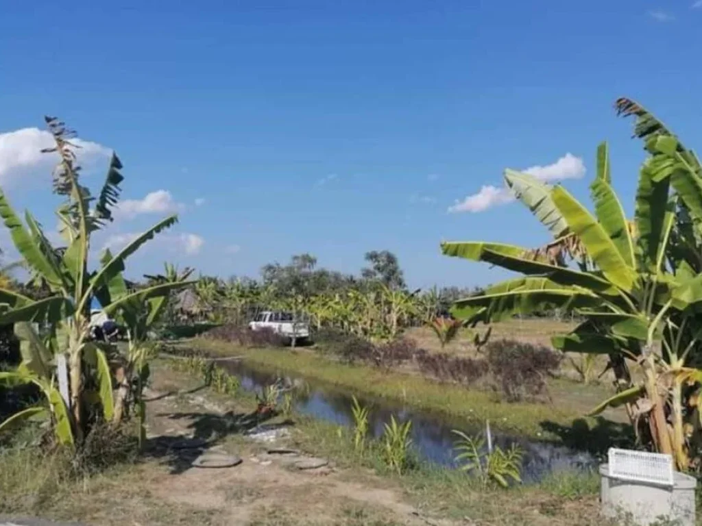 ขายบ้านสวนบ้านแมสันป่าตองวิวดอยบ้านคลองน้ำโฉนดราคาถูก