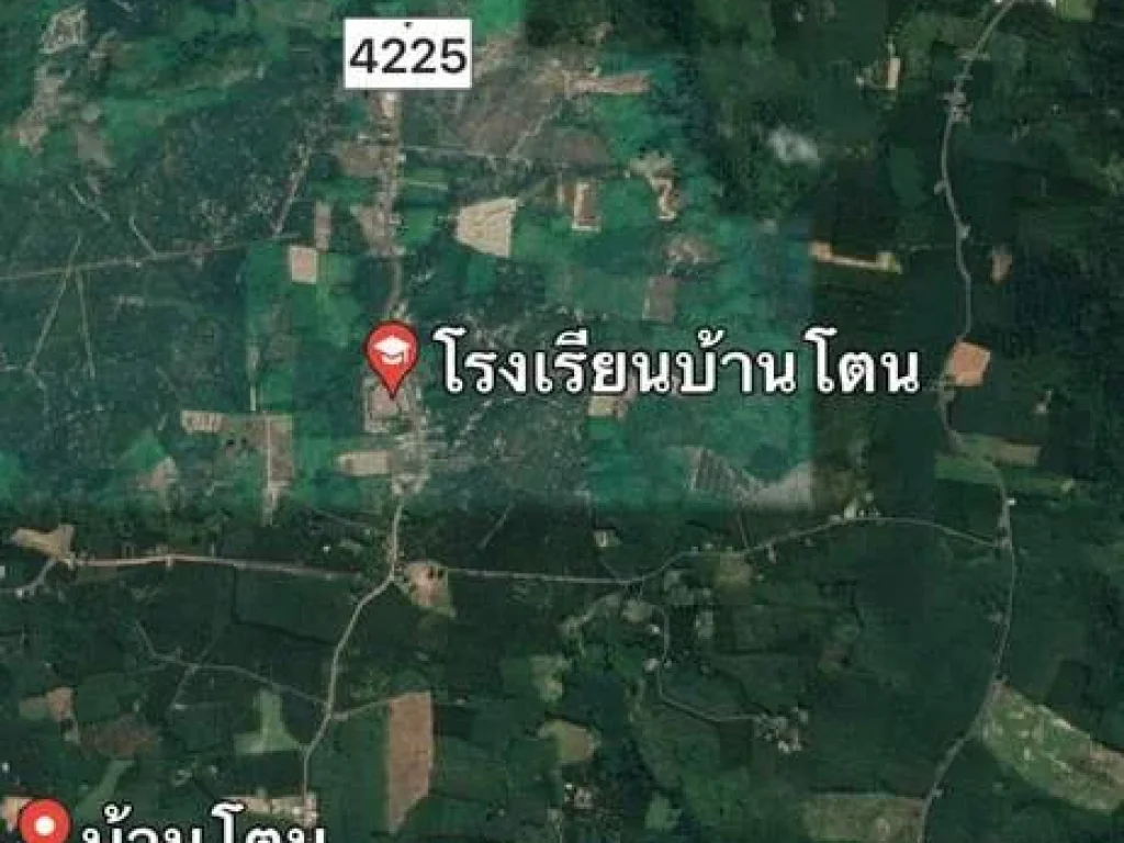 ขายที่ดินสวนยางพาราจังหวัดตรัง จำนวน 22 ไร่ อายุการใช้งาน 13 ปี