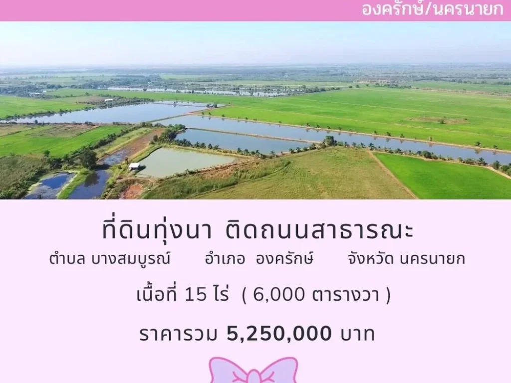 ขายที่ดินนครนายก ที่นาติดถนนสาธารณะ 15 ไร่ โครงการ บางสมบูรณ์ องครักษ์