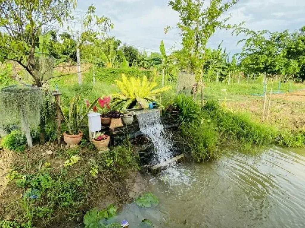 ขายบ้านสวนพร้อมที่ดิน สาธารณูปโภคครบครัน ตำบลวังน้ำเขียว อำเภอกำแพงแสน จังหวัดนครปฐม