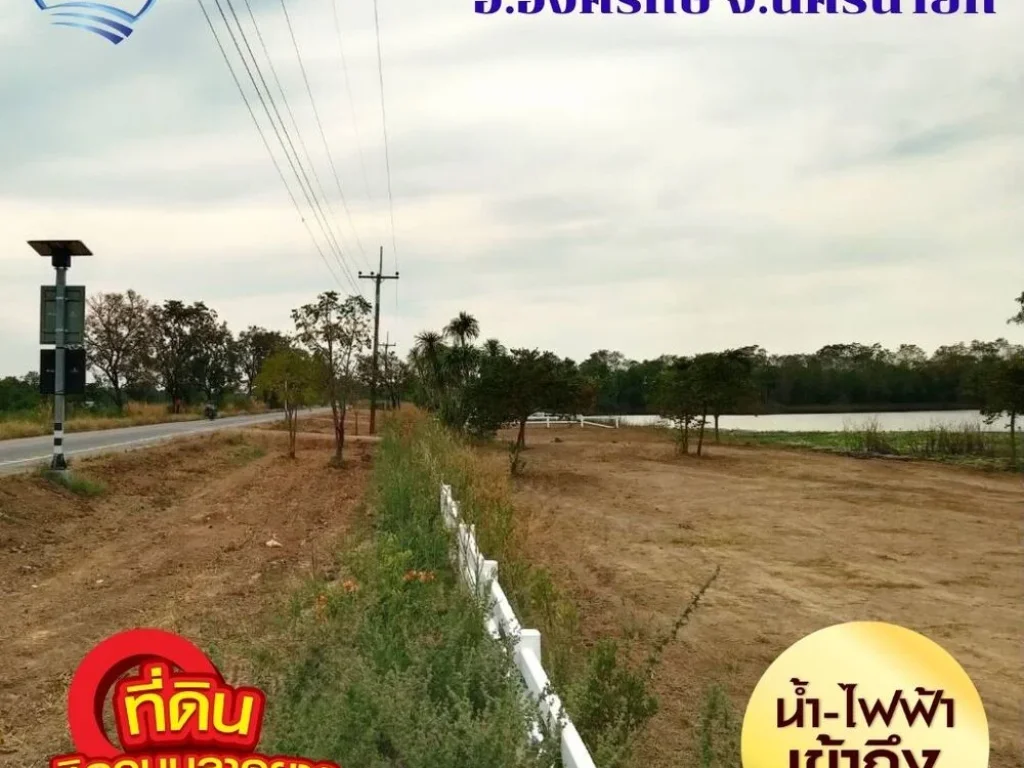 ขายที่ดินนครนายก พื้นที่ 200 ตรว ติดบึงใหญ่ ถนนเลียบคลอง 30 4015 องครักษ์ นครนายก