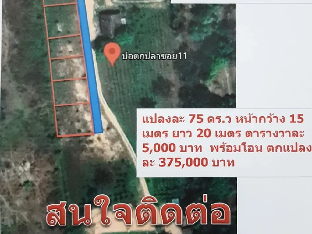 ที่ดินแบ่งขาย วิวบ้านสวน ราคาเริ่มต้นที่ 5000 บาท