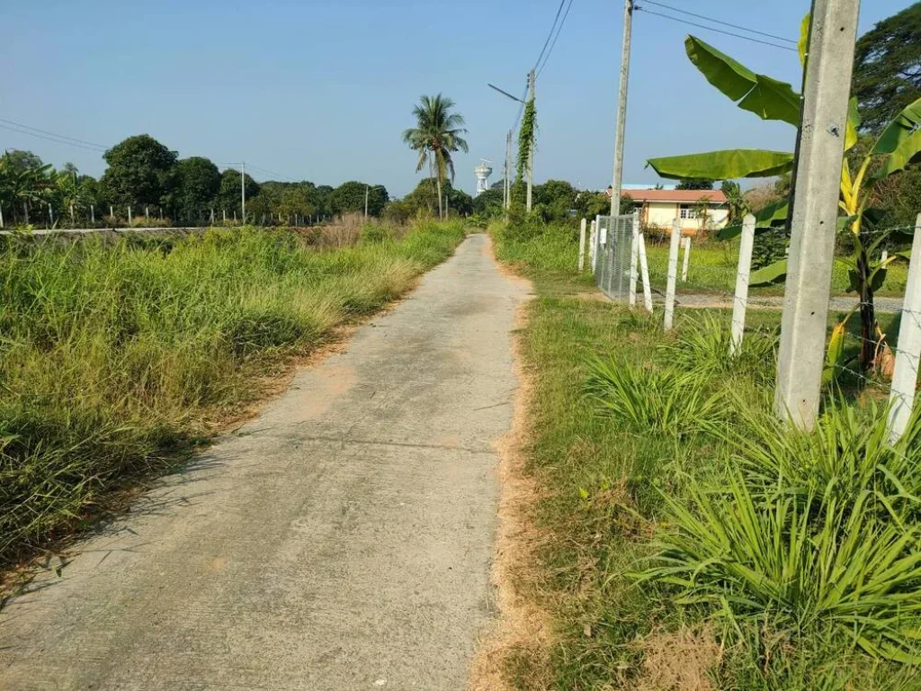 ขายที่ดิน ไร่ละ6แสน จังหวัดอ่างทอง ใกล้ สถานีตำรวจภูธรไชโย