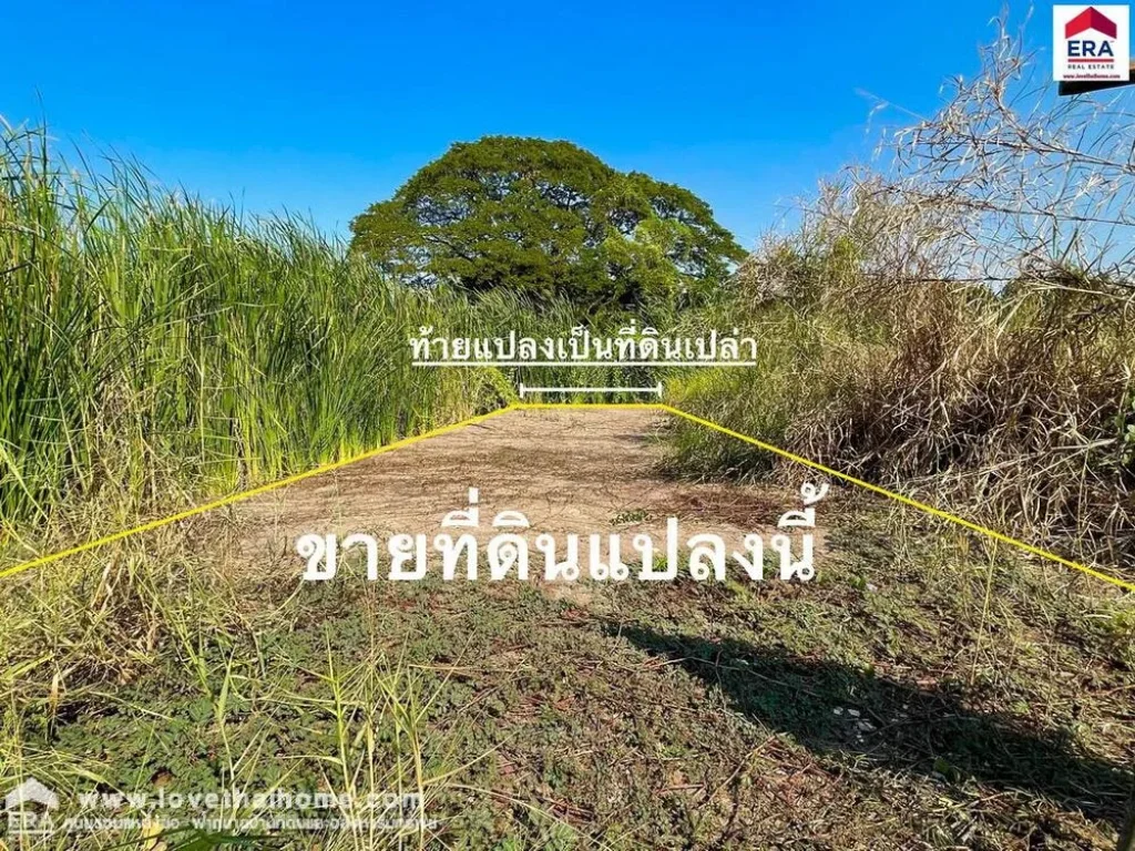 ขายที่ดิน ถแจ้งวัฒนะ10 ในซวิโรจน์สามัคคี ใกล้สนามบินดอนเมือง และBTS หลักสี่ ที่ถมแล้ว