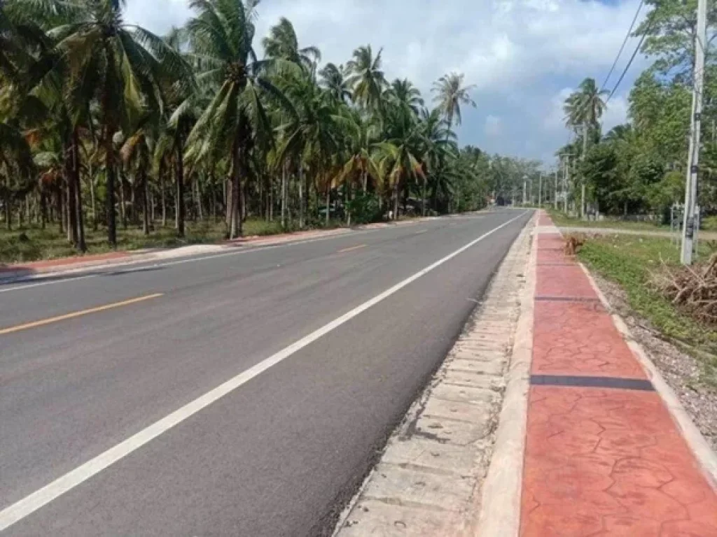 ขายด่วนที่ดินติดถนน ใกล้หาดเพียง 300 ม ตปากน้ำ อหลังสวน จชุมพร 3ไร่ 36 ตรว