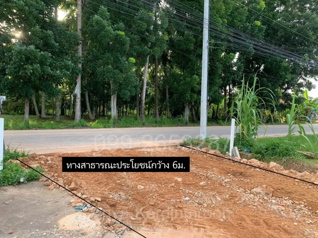 ที่ดินเปล่า ซอยคูขุด ตบางหมาก อเมืองชุมพร จชุมพร