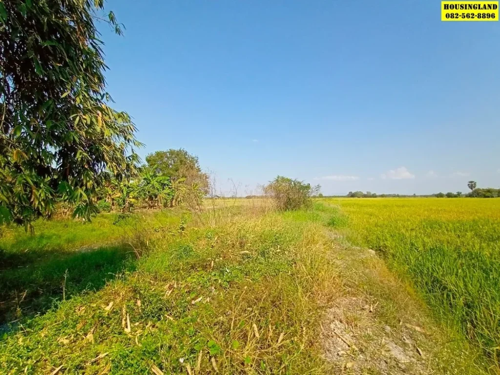 ขายที่ดินใกล้วัดวังบัว ตำบลพิกุลออก อำเภอบ้านนา จังหวัดนครนายก