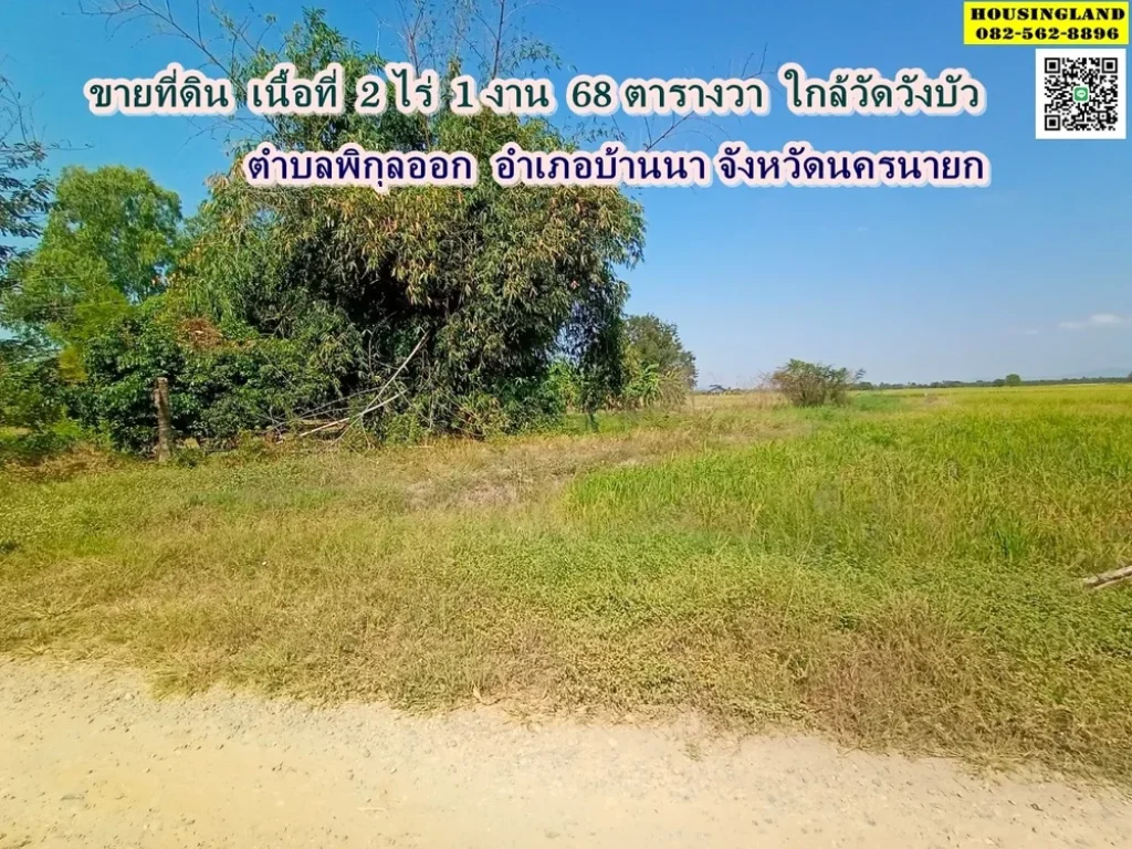 ขายที่ดินใกล้วัดวังบัว ตำบลพิกุลออก อำเภอบ้านนา จังหวัดนครนายก