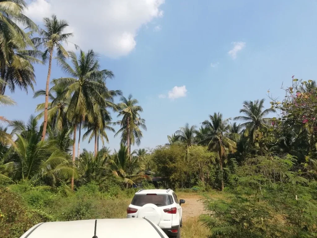 ขายที่ดิน 280 ตรว ใกล้วัดจุฬาและตลาดน้ำอัมพวา ราคาจับต้องได้