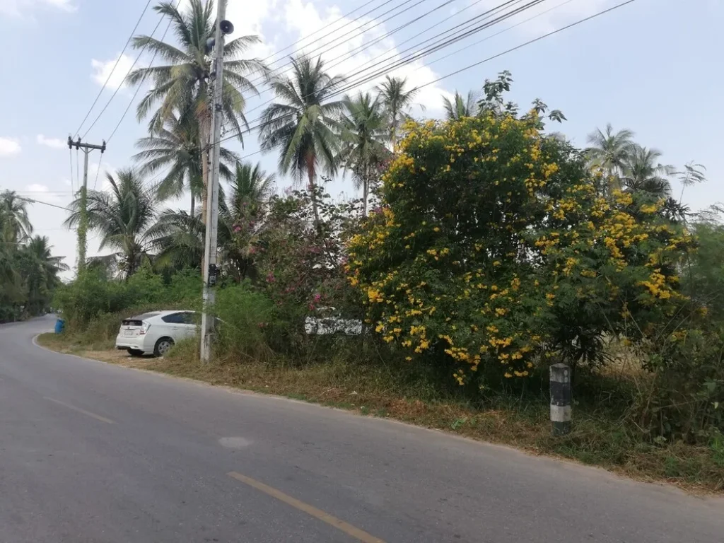 ขายที่ดิน 280 ตรว ใกล้วัดจุฬาและตลาดน้ำอัมพวา ราคาจับต้องได้