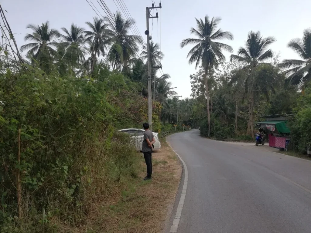 ขายที่ดิน 280 ตรว ใกล้วัดจุฬาและตลาดน้ำอัมพวา ราคาจับต้องได้