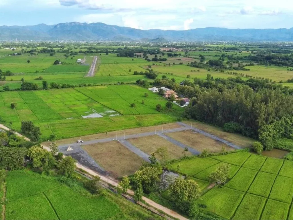 ที่ดินแบ่งขายในเขตชุมชน อสันกำแพง จเชียงใหม่ เจ้าของขายเอง หมดแล้วหมดเลย