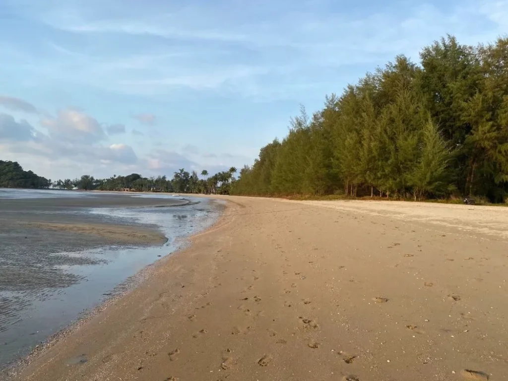 ขายที่ดินเกาะช้างติดทะเล หาดสวย ทั้งแปลงเนื้อที่ประมาณ 33 ไร่ แปลงสวยแบบนี้หาไม่ได้แล้วในเกาะช้าง