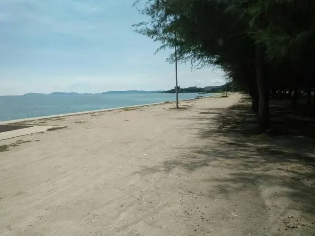 ที่ดินติดหาดพะยูน อ บ้านฉาง จ ระยอง แปลงสวยเนื้อที่ 29 ไร่กว่าๆ