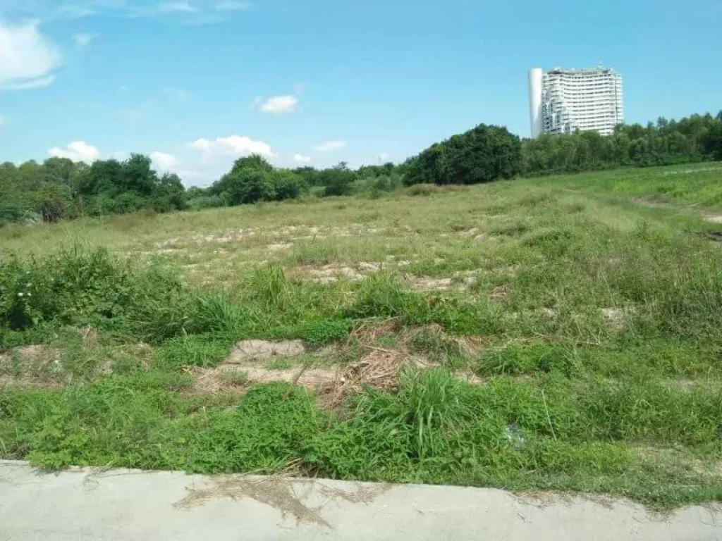 ที่ดินติดหาดพะยูน อ บ้านฉาง จ ระยอง แปลงสวยเนื้อที่ 29 ไร่กว่าๆ