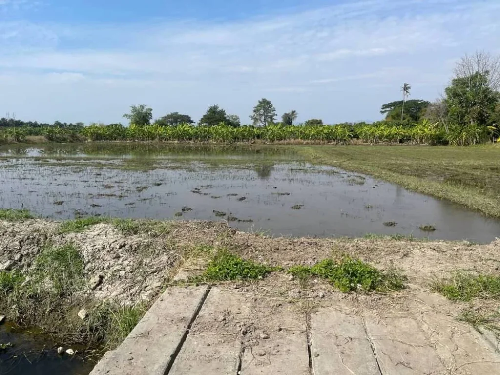 สำหรับท่านที่ตามหาพื้นที่โซนสันผักหวานน่าลงทุน ทำบ้านสวนหรือแบ่งแปลงดินขายแปลงย่อยได้ ชุมชนน่าอยู่ ดินน้ำอุดมสมบูรณ์