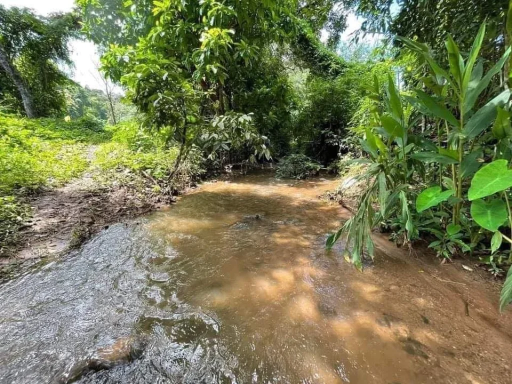 ขายที่ดินติดลำธารน้ำ ห่างอบตสะเมิงเหนือ 1kmโฉนดพร้อมโอน