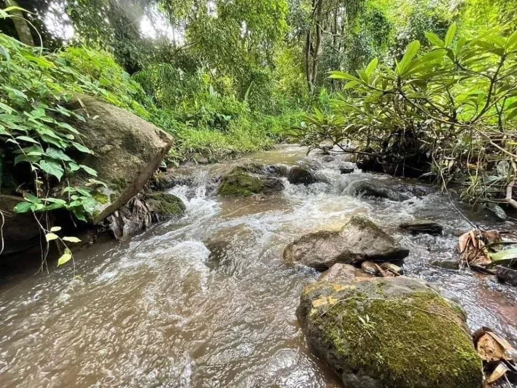 ขายที่ดินติดลำธารน้ำ ห่างอบตสะเมิงเหนือ 1kmโฉนดพร้อมโอน