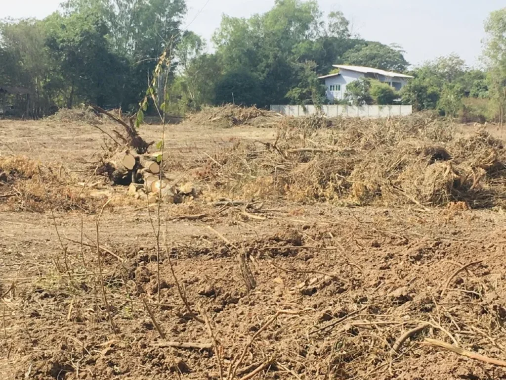 ขายที่ดิน 11 ไร่ ติดคลองชลประทานห้วยพระคือ ตพระลับ อเมืองขอนแก่น