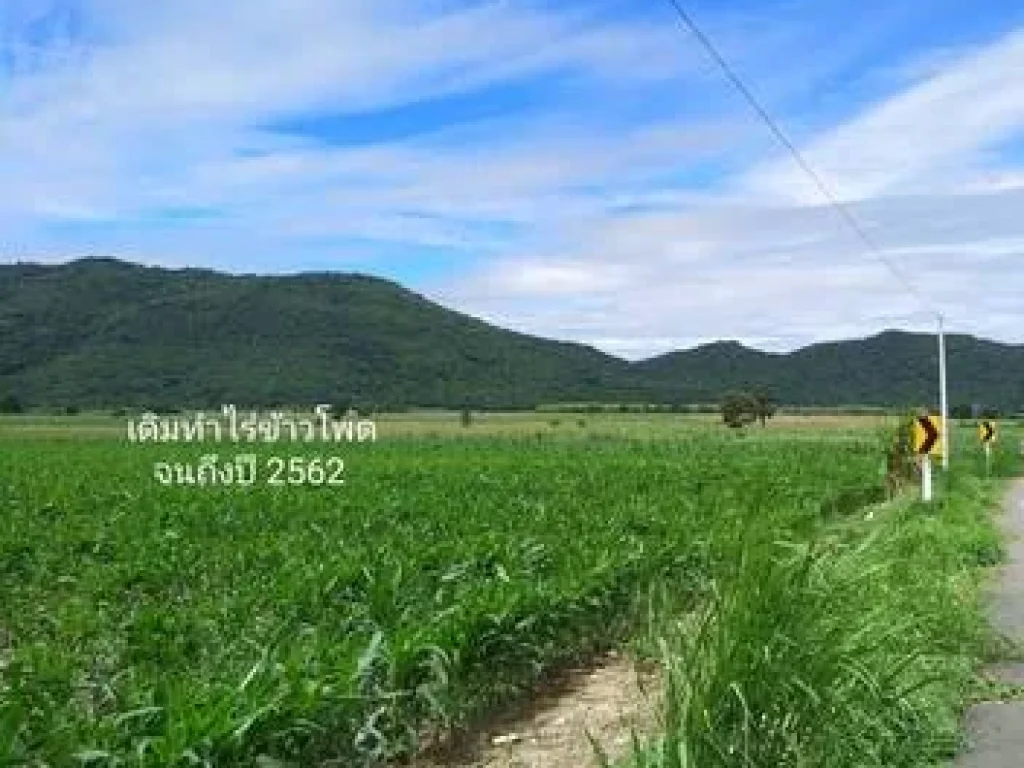 ขายที่ดิน ติดถนนลาดยาง วิวภูเขา น้ำไม่ท่วม ตพระนอน อเมืองนครสวรรค์