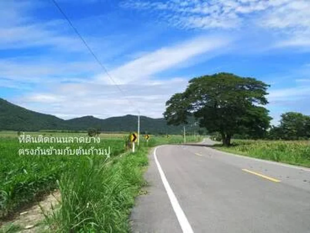 ขายที่ดิน ติดถนนลาดยาง วิวภูเขา น้ำไม่ท่วม ตพระนอน อเมืองนครสวรรค์