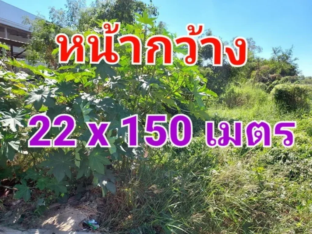 ขายที่ดินเปล่า เนื้อที่ 2 ไร่ ติดถนน 3214 หรือถนนคลองหลวง คลองสาม ใกล้โชว์รูม FORD