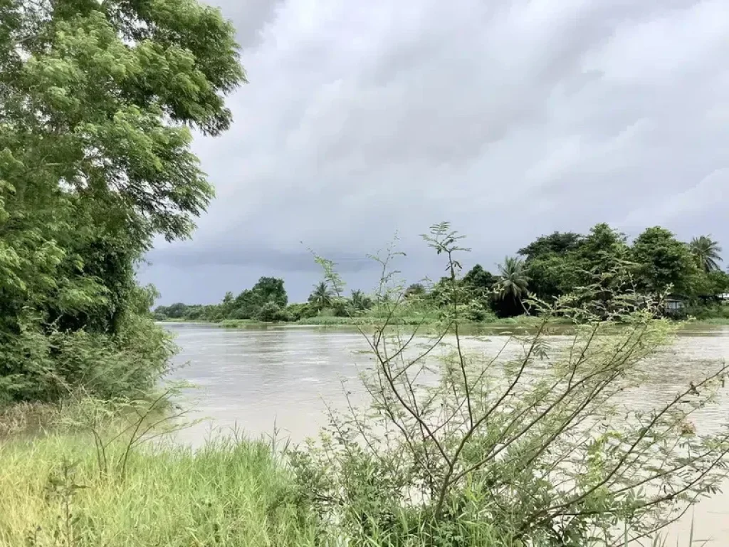 ขายที่ดินติดแม่น้ำ 8 ไร่ 1 งาน ร่มรื่น อากาศดี อำเภอบ้านสร้าง จังหวัดปราจีนบุรี