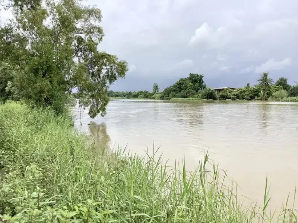 ขายที่ดินติดแม่น้ำ 8 ไร่ 1 งาน ร่มรื่น อากาศดี อำเภอบ้านสร้าง จังหวัดปราจีนบุรี