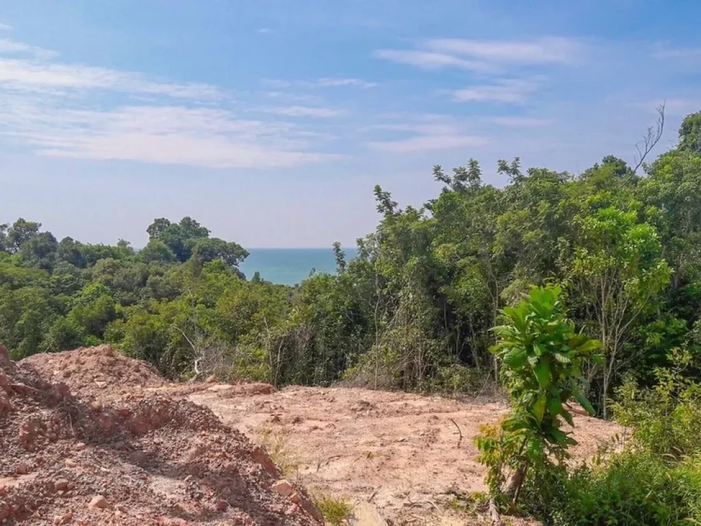 ขายที่ดินติดทะเล ตำบลหาดเล็ก อำเภอคลองใหญ่ จังหวัดตราด