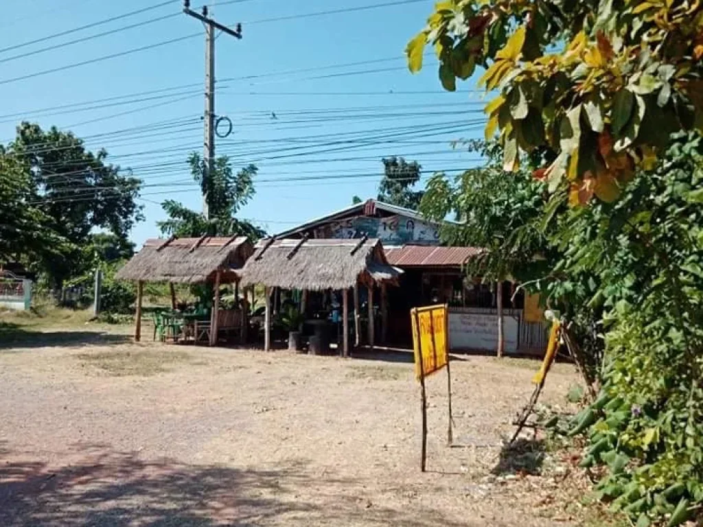 ขายที่ดิน นส4 1งาน 49 ตรว ติดถนนมิตรภาพ พร้อมโอนครับ