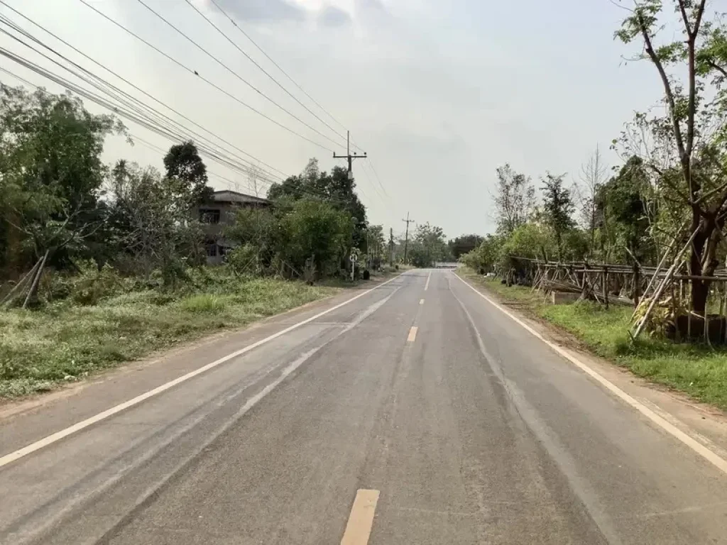 ขายที่ดิน 2 ไร่ ใกล้เขาวิวสวย อากาศดีปราจีนบุรี อำเภอเมืองปราจีนบุรี