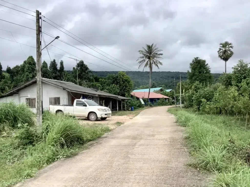 ขายที่ดิน 2 ไร่ ใกล้เขาวิวสวย อากาศดีปราจีนบุรี อำเภอเมืองปราจีนบุรี