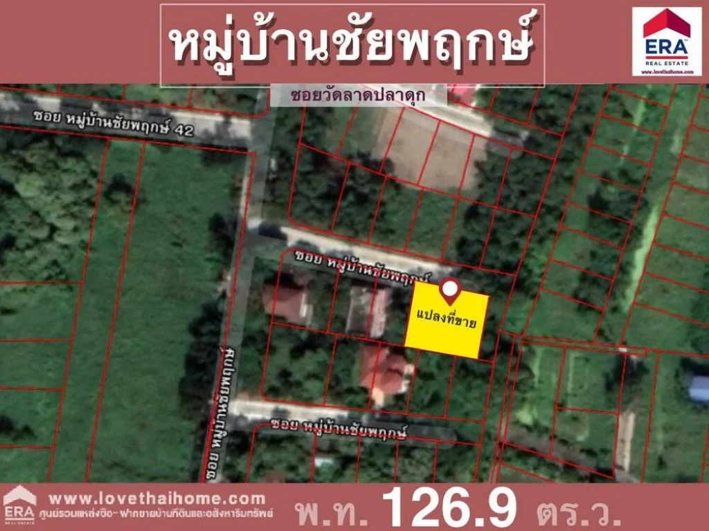 ขายที่ดิน มชัยพฤกษ์ ถวัดลาดปลาดุก อยู่ใกล้วงแหวนกาญจนาภิเษก พื้นที่126ตรว รูปทรงแปลงสวย เหมาะสำหรับปลูสร้างบ้านพักอาศัย