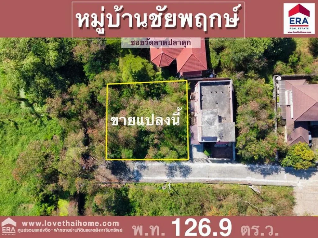 ขายที่ดิน มชัยพฤกษ์ ถวัดลาดปลาดุก อยู่ใกล้วงแหวนกาญจนาภิเษก พื้นที่126ตรว รูปทรงแปลงสวย เหมาะสำหรับปลูสร้างบ้านพักอาศัย