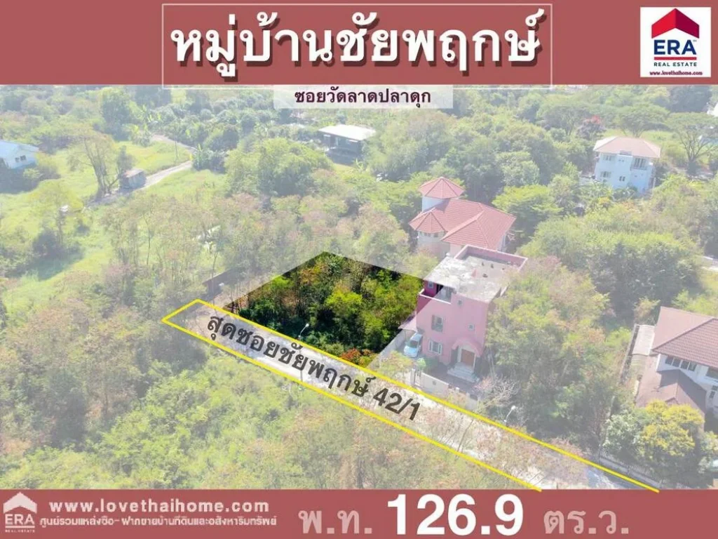 ขายที่ดิน มชัยพฤกษ์ ถวัดลาดปลาดุก อยู่ใกล้วงแหวนกาญจนาภิเษก พื้นที่126ตรว รูปทรงแปลงสวย เหมาะสำหรับปลูสร้างบ้านพักอาศัย