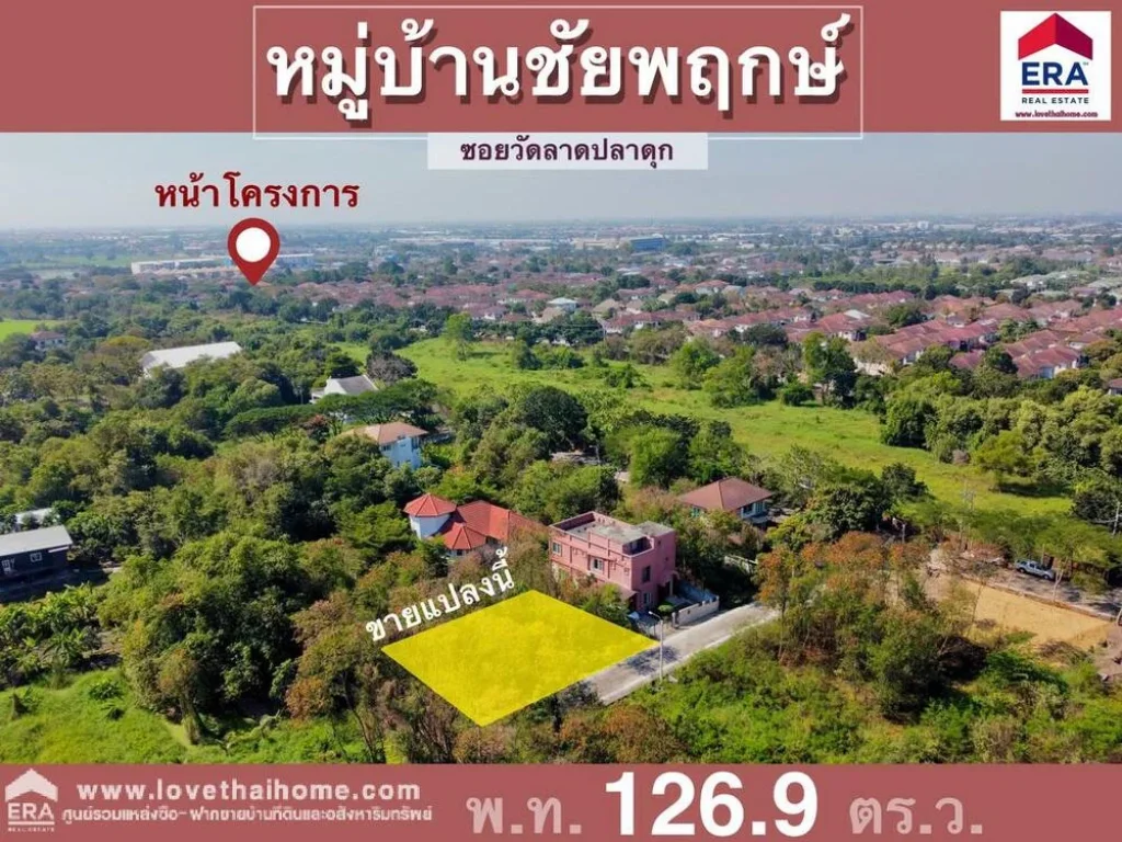 ขายที่ดิน มชัยพฤกษ์ ถวัดลาดปลาดุก อยู่ใกล้วงแหวนกาญจนาภิเษก พื้นที่126ตรว รูปทรงแปลงสวย เหมาะสำหรับปลูสร้างบ้านพักอาศัย