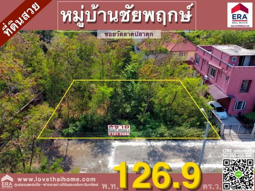 ขายที่ดิน มชัยพฤกษ์ ถวัดลาดปลาดุก อยู่ใกล้วงแหวนกาญจนาภิเษก พื้นที่126ตรว รูปทรงแปลงสวย เหมาะสำหรับปลูสร้างบ้านพักอาศัย