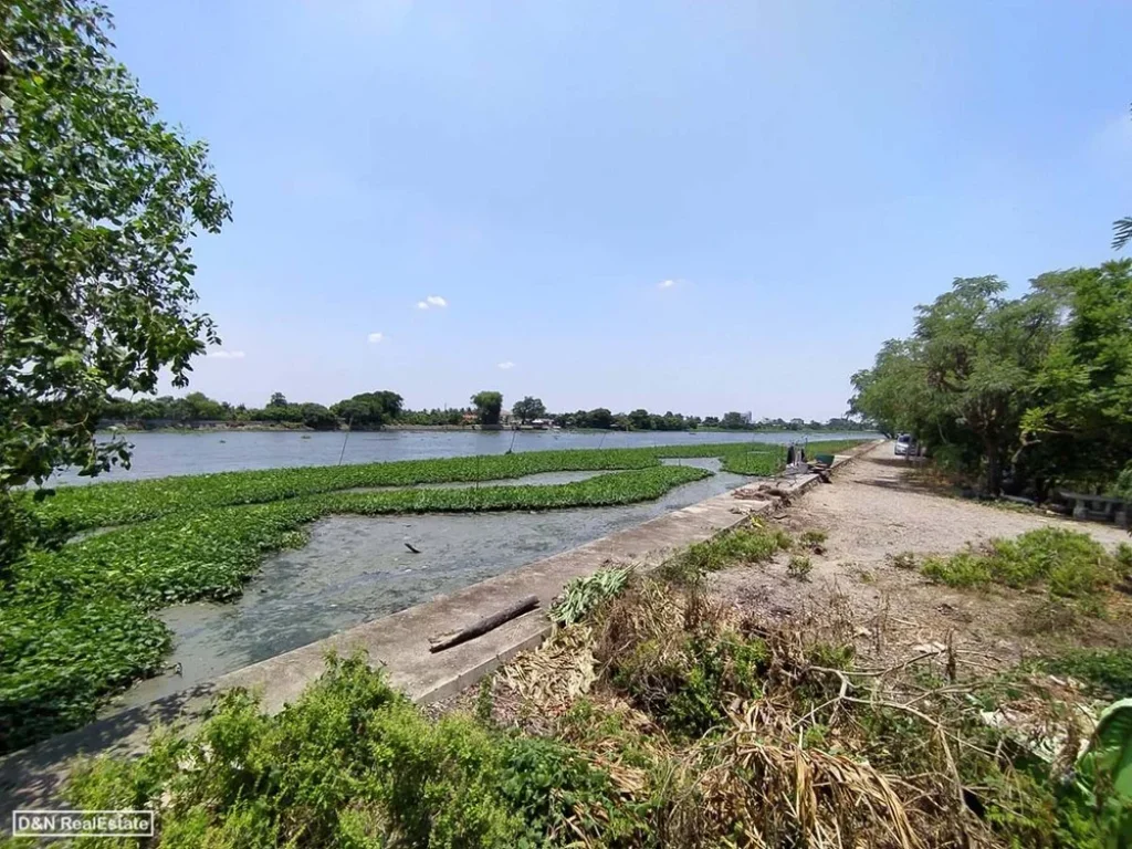 ขาย ที่ดิน 10 ไร่ ติดแม่น้ำท่าจีน บางยาง กระทุ่มแบน สมุทรสาคร ทำเขื่อนแล้ว ติดถนนสาธารณะ ใกล้กรุงเทพฯ