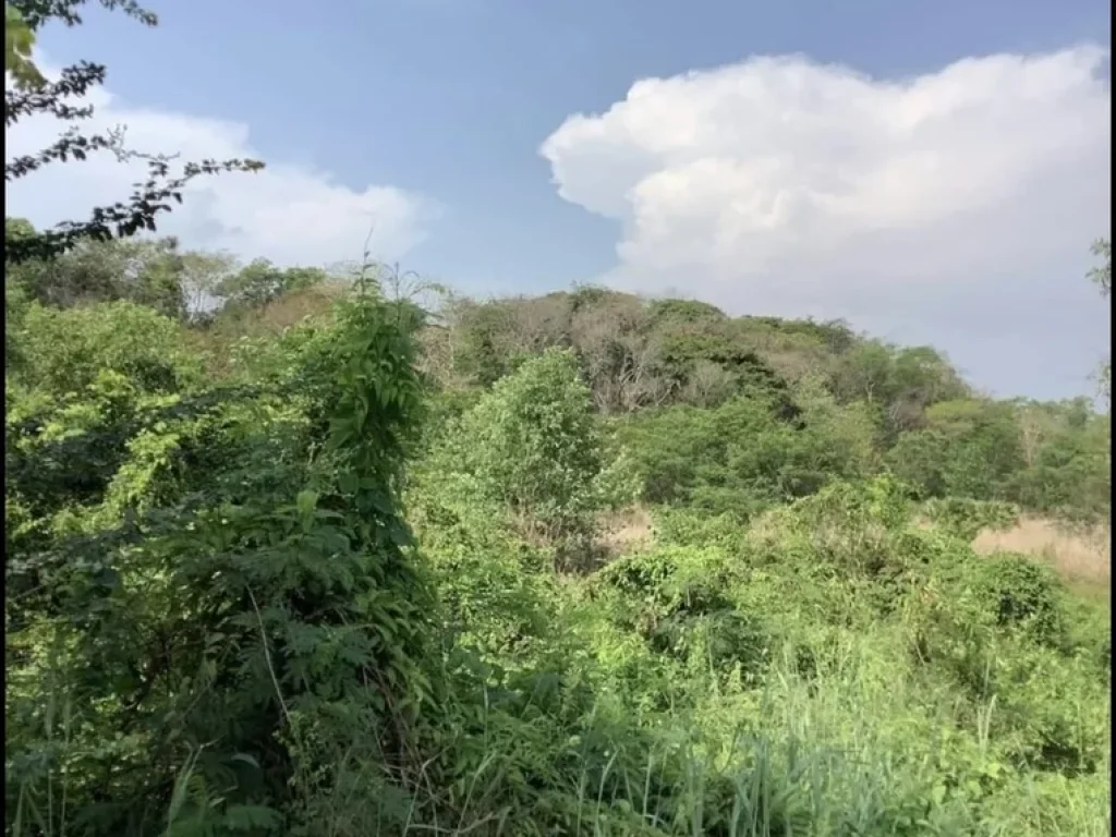 ขายที่ดินติดถนน เจ้าของขายเอง ติดหาดแม่พิมพ์เพียง 400 เมตร จังหวัดระยอง