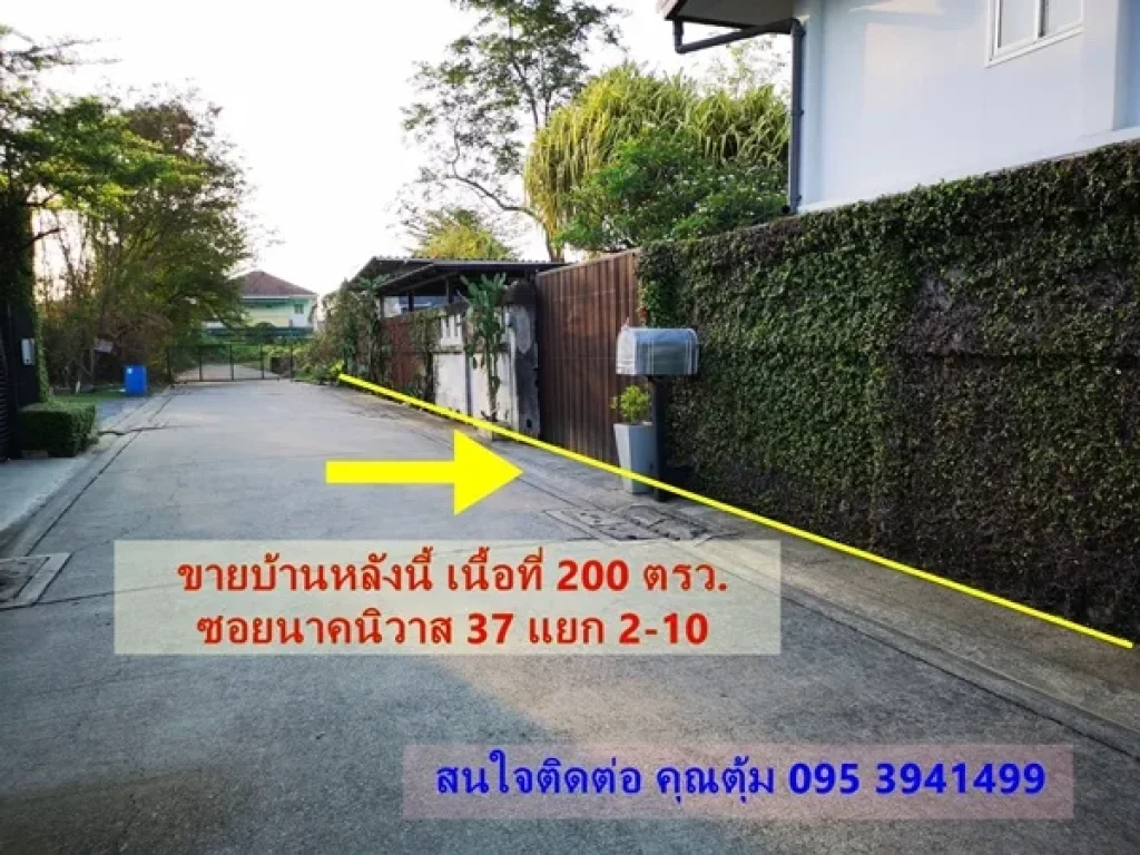 ขายด่วน บ้านพร้อมที่ดินทำเลทองขนาด 200 ตรวา ลาดพร้าว 71 ซนาคนิวาส37 แยก 2-10