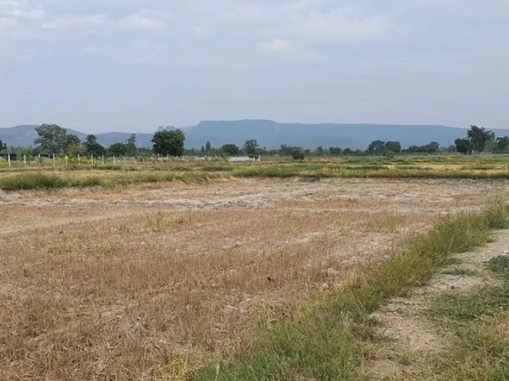 ที่ดินดงมะรุมติดคลองวิวภูเขาสวยงดงาม โฉนดครุฑแดง 305 ไร่ พิเศษยกแปลงไร่ละ 13 สบ฿