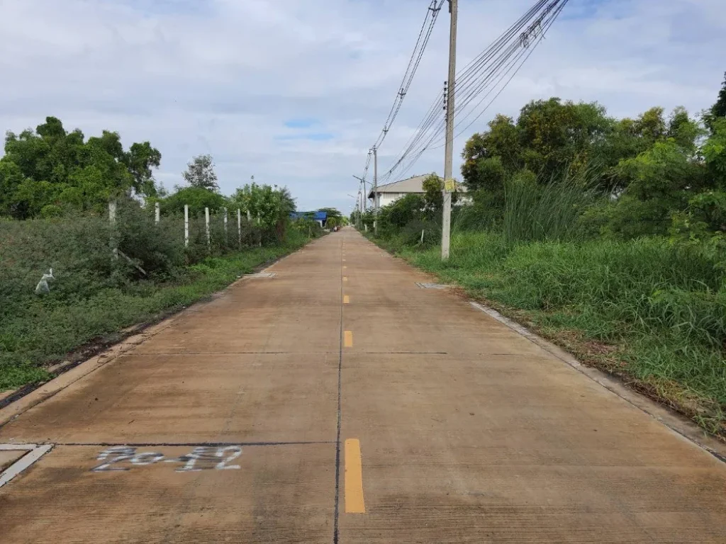 ขายที่ดินสวย ถมแล้ว 100 ตรว ซอยไสวประชาราษฏร์29 ลำลูกกา-รังสิต คลอง4