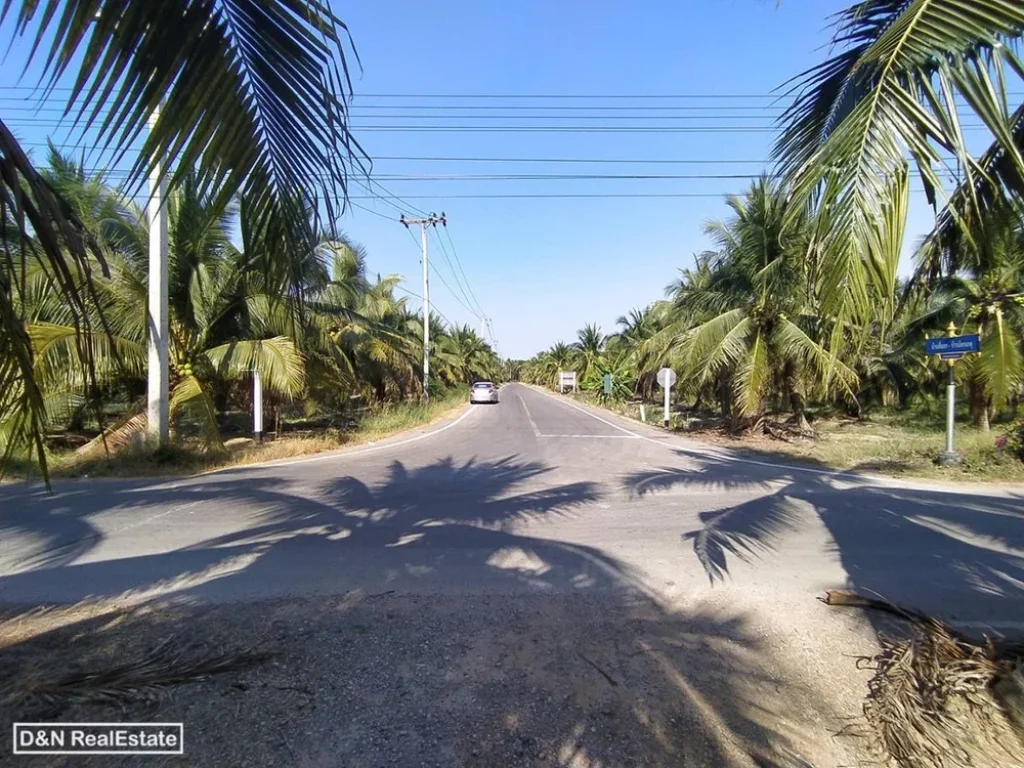 ขาย ที่ดิน 29 ไร่ สวนมะพร้าว ยี่สาร อัมพวา สมุทรสงคราม ใกล้วัดสี่แยก ติดถนนลาดยาง ติดคลอง เหมาะลงทุน