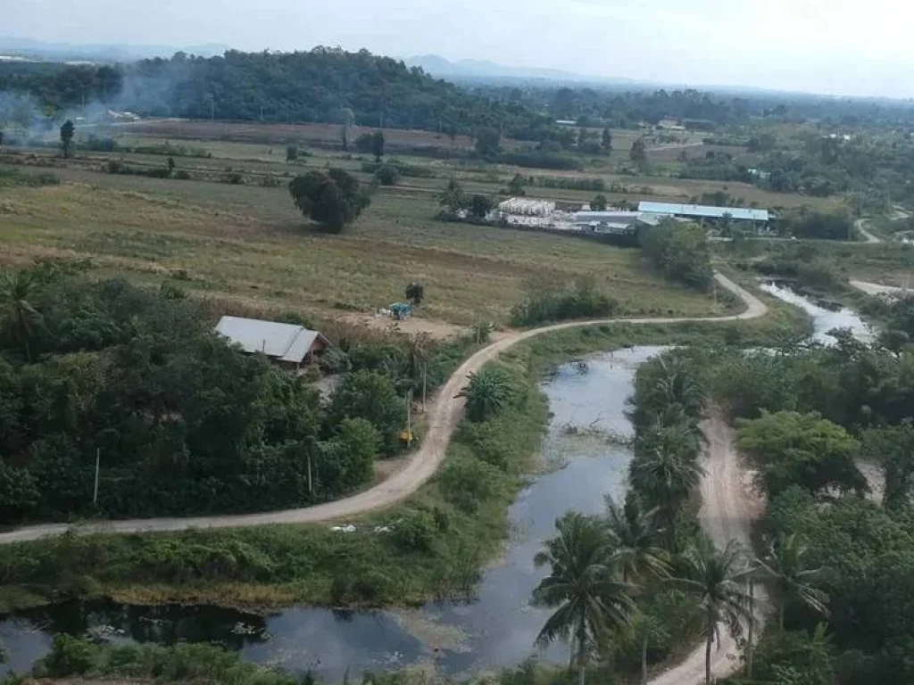 ที่ดินแบ่งขาย200ตรวขาย4แสนบาทเฉลิมพระเกียรติสระบุรี