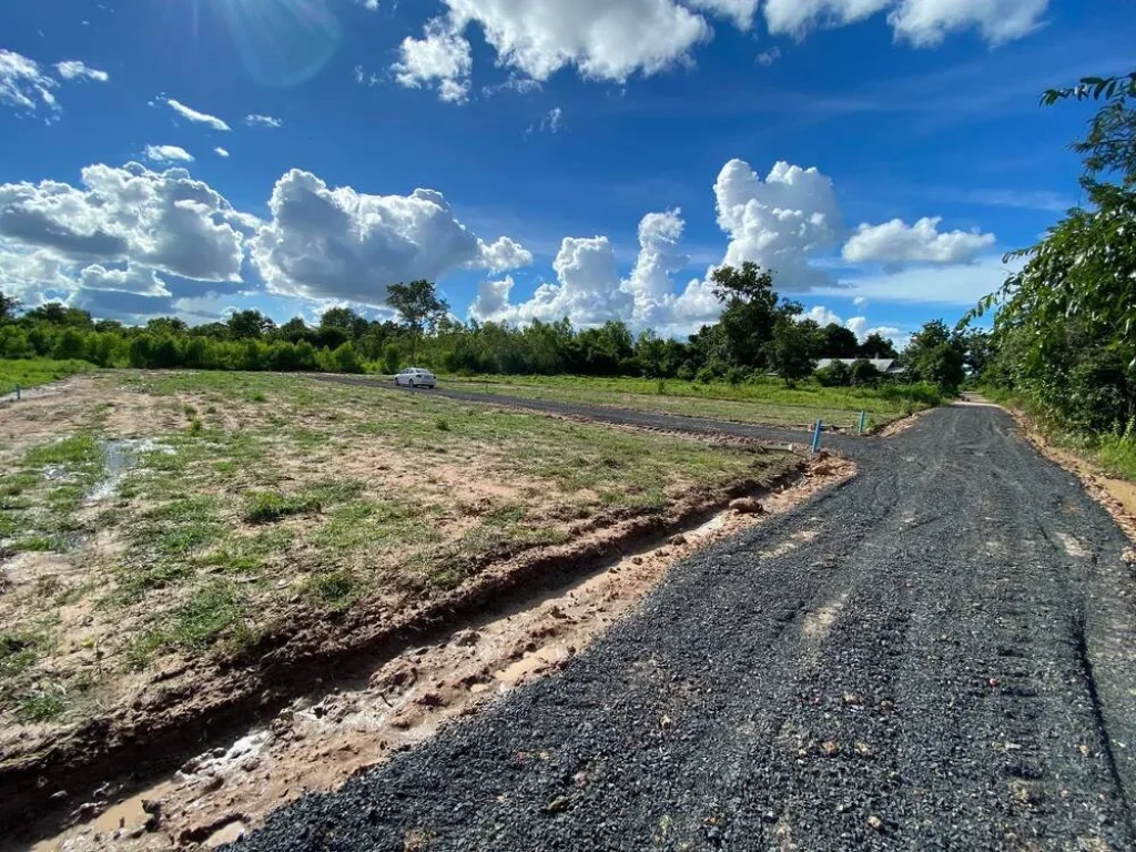 ขายที่ดิน 839 ตรวบ้านปลาดุกทอง ทำเลใกล้ถนนตัดใหม่ไปรพ50พรรษา