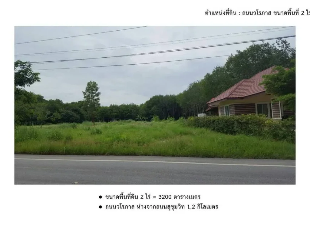 ขายที่ดิน พื้นที่ 2 ไร่ ถนนวัดมโนภาสสถิตย์ ตำบลแกลง จังหวัดระยอง