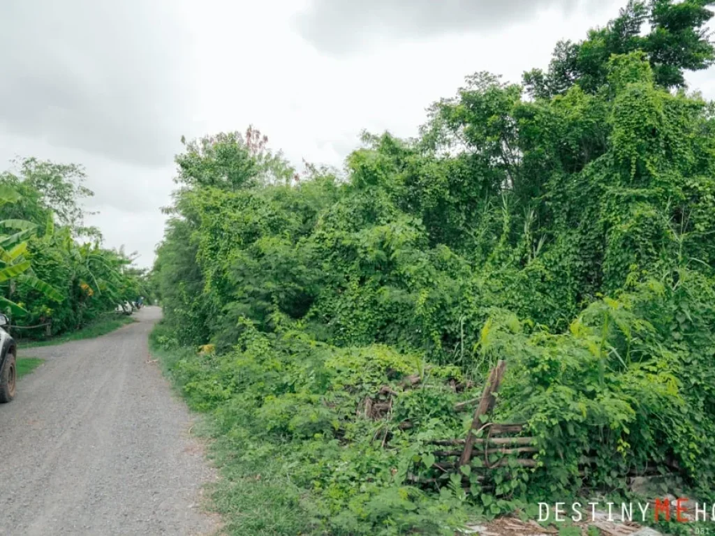 ขายที่ดิน 2 ไร่ ซอย เอราวัณ 25 คลองหลวง ธัญบุรี ปทุมธานี ถมแล้ว ใกล้ ตลาดไท