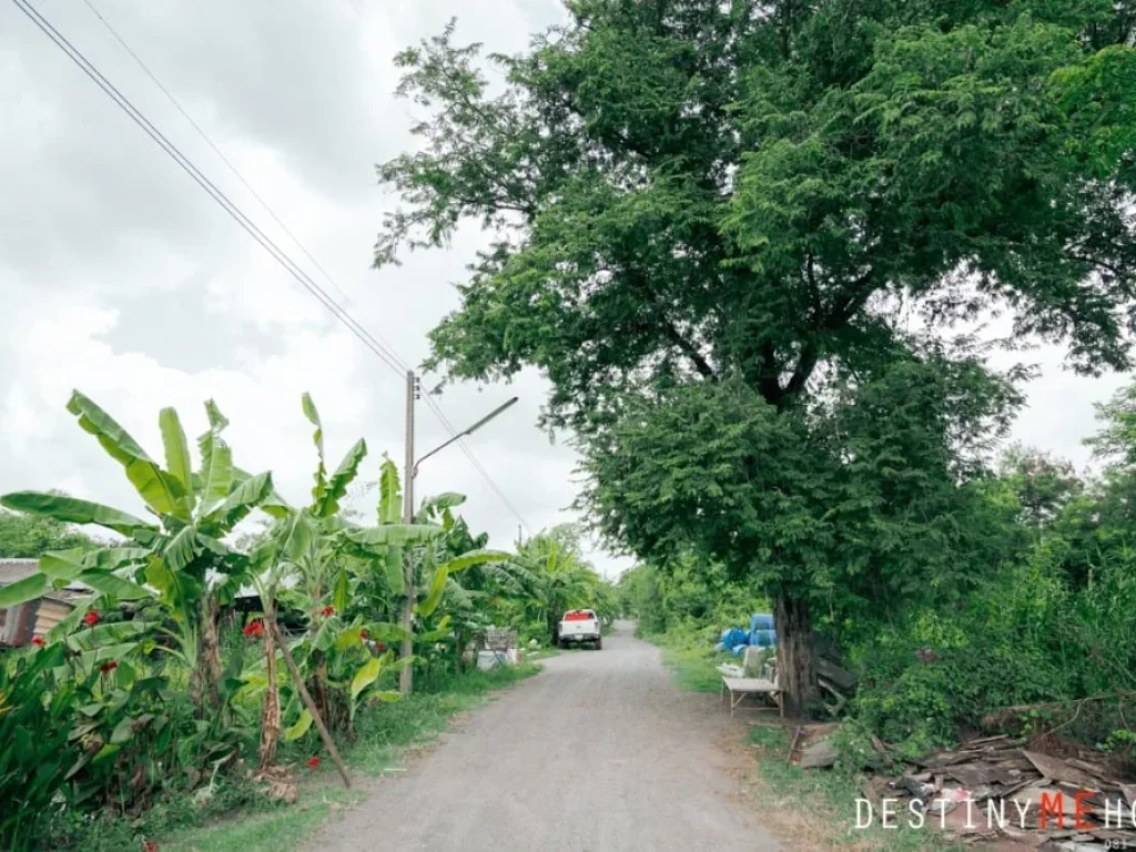 ขายที่ดิน 2 ไร่ ซอย เอราวัณ 25 คลองหลวง ธัญบุรี ปทุมธานี ถมแล้ว ใกล้ ตลาดไท